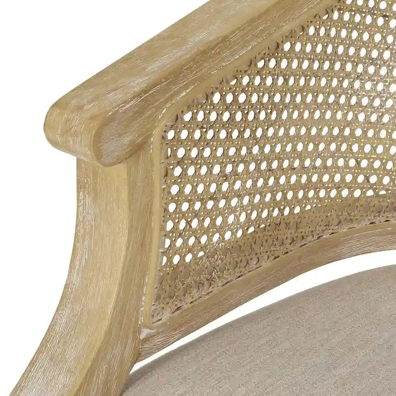 Steinaker Wood and Cane Accent Chairs (Set of 2) by Christopher Knight Home