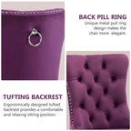 Velvet Dining Chairs Set of 2, Tufted Dining Room Chairs with Button Back, Nailhead Trim, Upholstered Kitchen Side Chairs