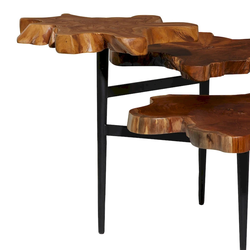 Teak Wood Handmade Live Edge 3 Tier Accent Table with Black Base - Brown - Roche River Decor - 36W x 34L x 24H
