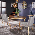 Jose Gold Finish Fabric Dining Chair (Set of 2) by iNSPIRE Q Modern