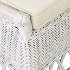 Natural Rattan Cushioned Dining Accent Chair by East at Main
