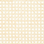 SAFAVIEH Couture Maiju Rattan Arm Chair - 21 In. W x 23 In. D x 34 In. H - 21Wx23Dx34H